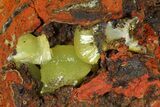Yellow-Green Adamite Crystals On Limonite - Ojuela Mine, Mexico #183431-1